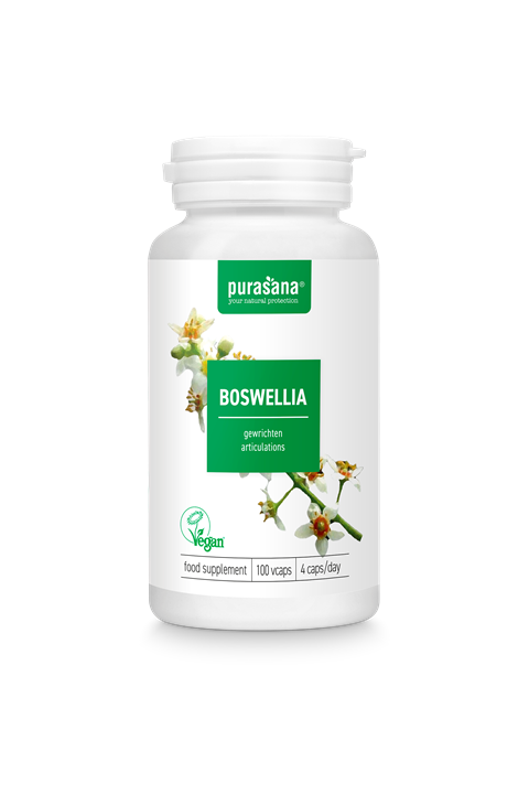 Boswellia Extract