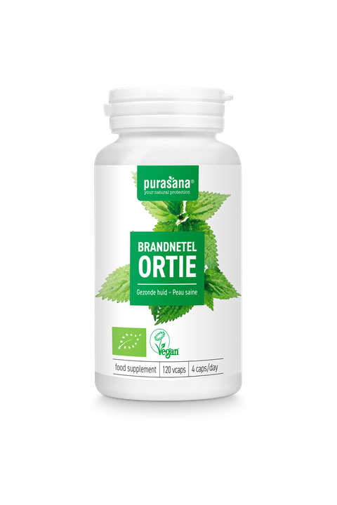 Brandnetel