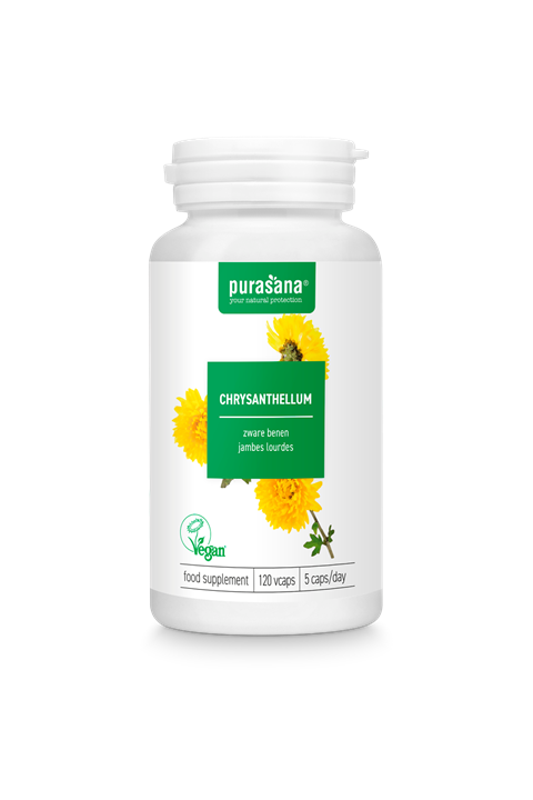 Chrysanthellum