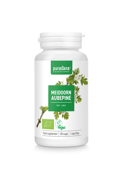 Meidoorn