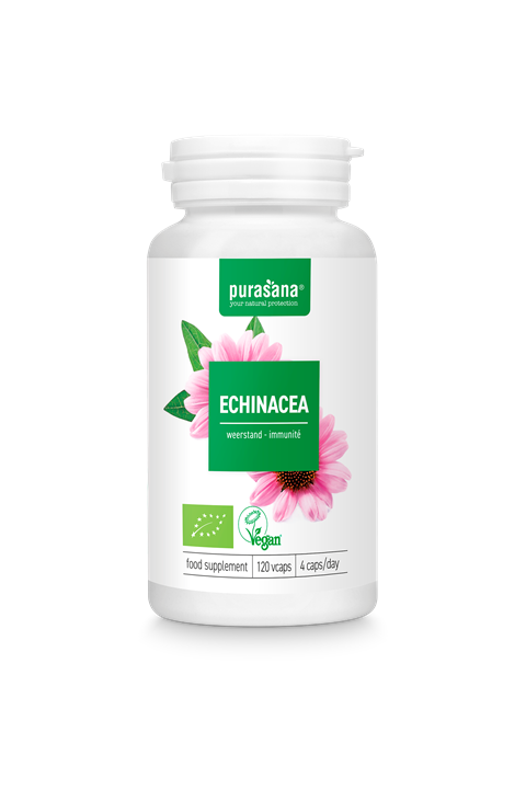 Echinacea