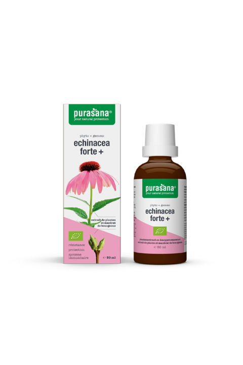 Echinacea Forte 50ml