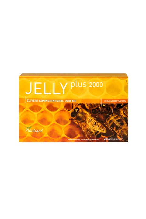 Jelly Plus 2000